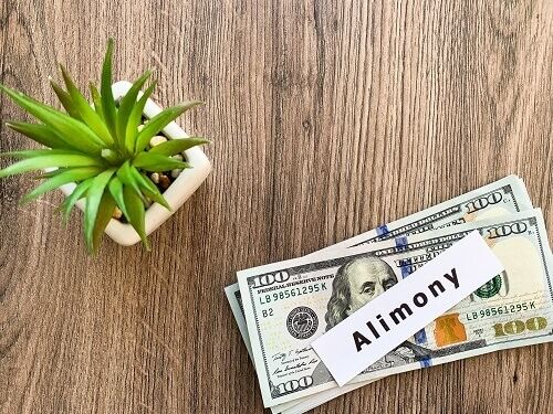 Stack of 100 dollar bills with a note on top that says "alimony" and a succulent plant near by.